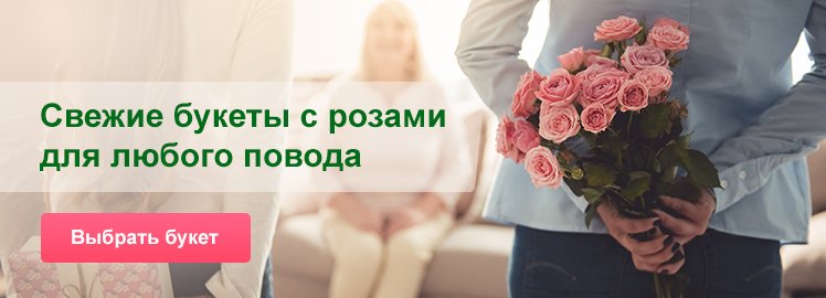 Спецпредложение